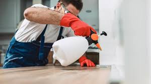 Best Termite Inspection and Treatment  in Sublimity, OR